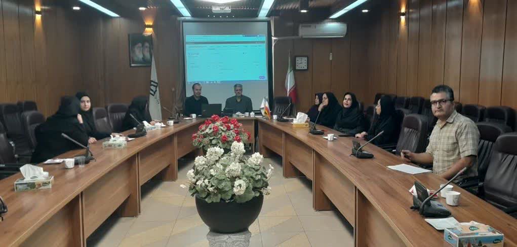 ارتقای خدمات پژوهشی در کتابخانه‌های بیمارستانی؛ از استانداردهای جدید تا دسترسی به منابع تخصصی